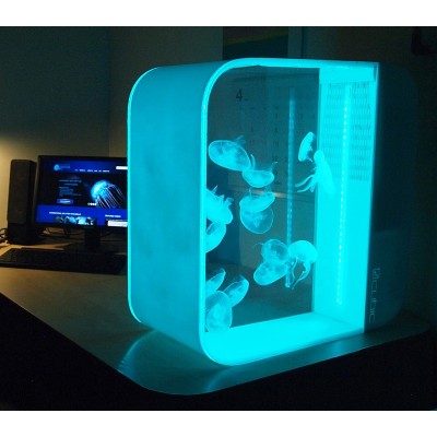 Customized acrylic jellyfish tank aquarium accessories