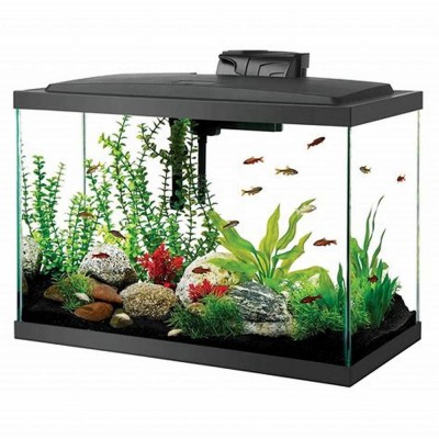 Hot sale cheap acrylic fish tank aquarium plastic fish tank